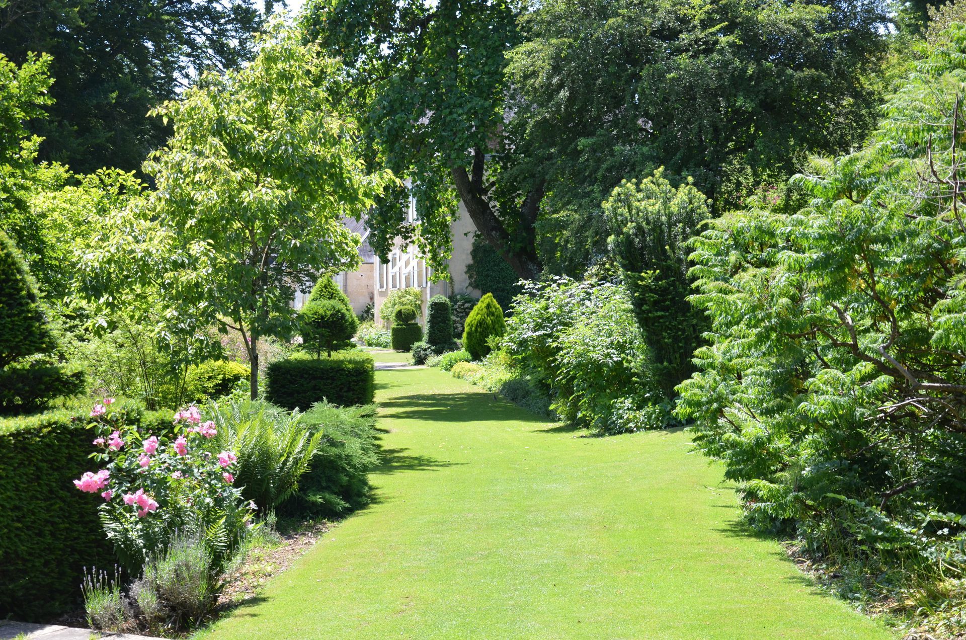 Allée de jardin verdoyante bordée d'arbres et d'arbustes fleuris baignée de soleil.