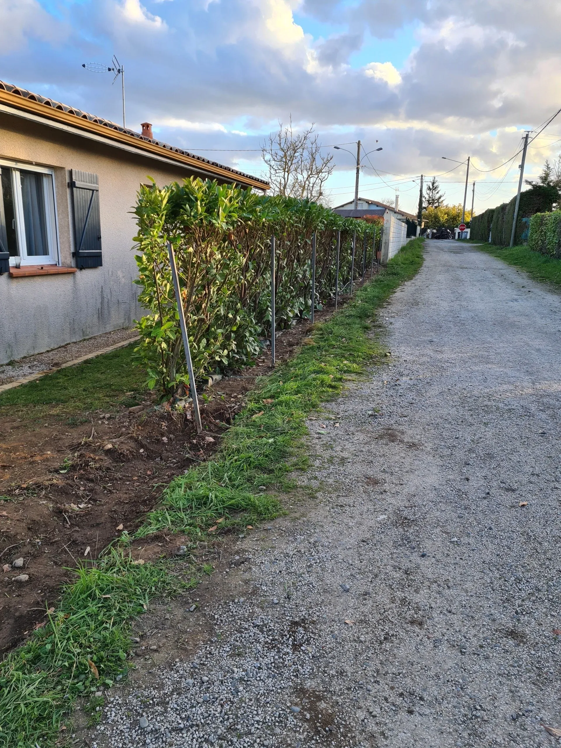 Préparation pour la réalisation de la clôture - Avant