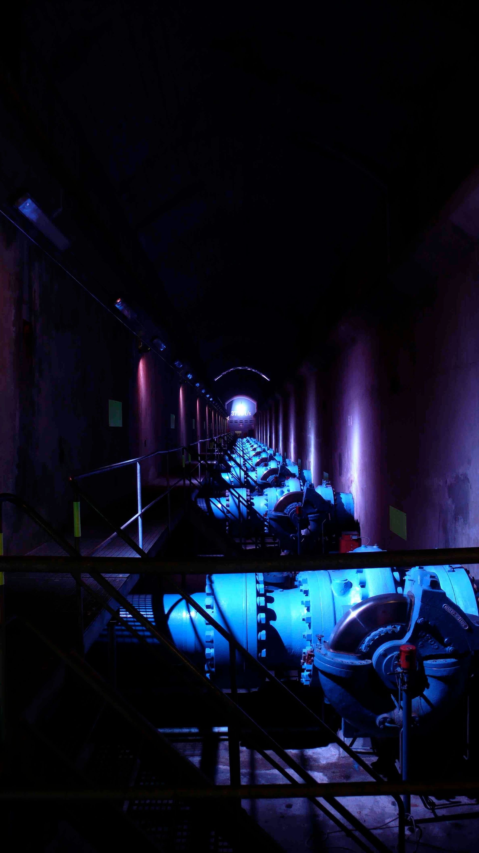 Expo - Carré Mambô