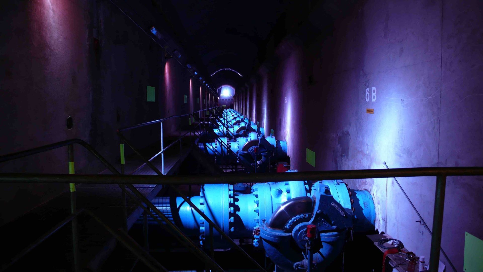 Expo - Carré Mambô