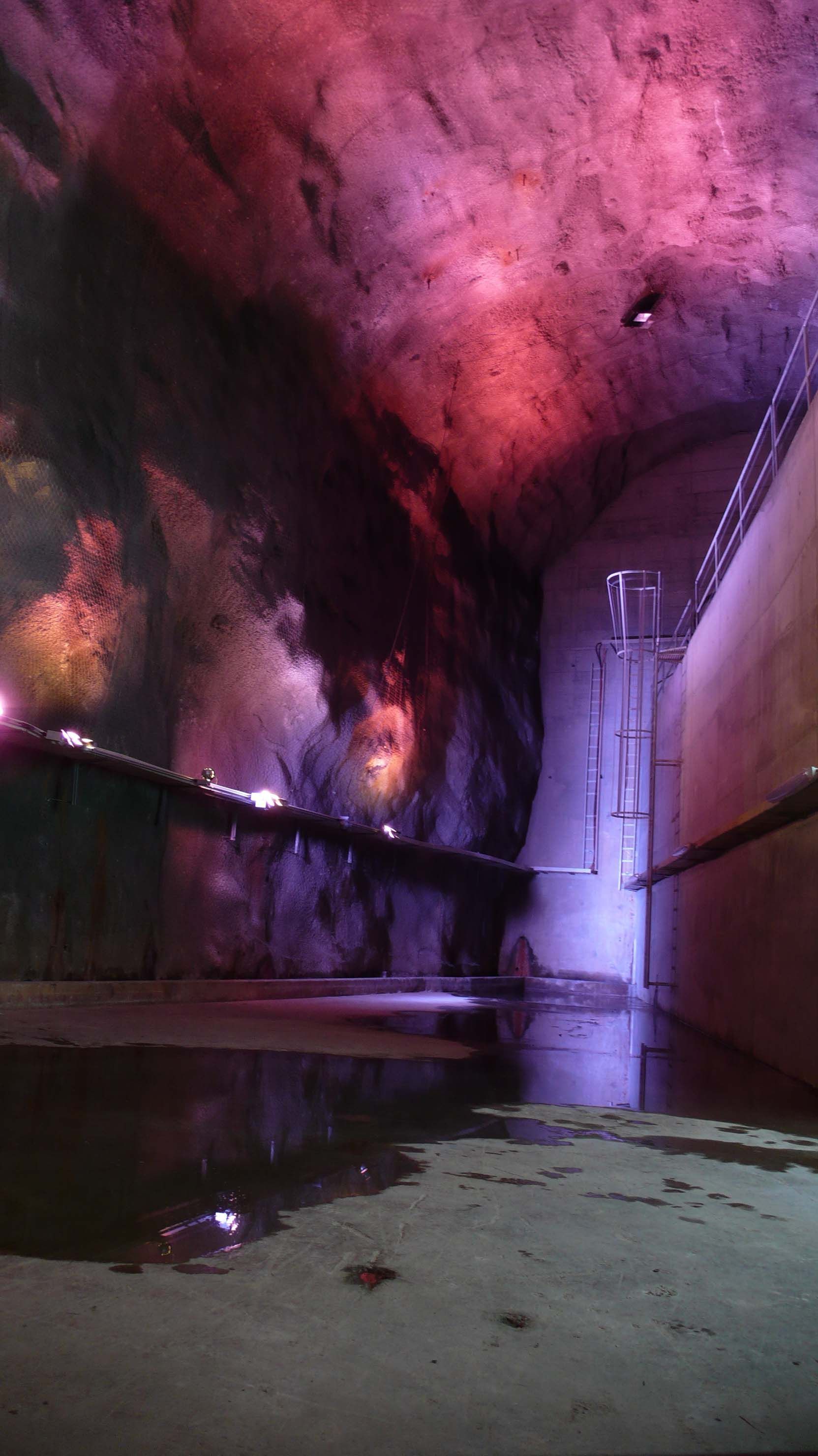 Bieudron Nendaz - Carré Mambô