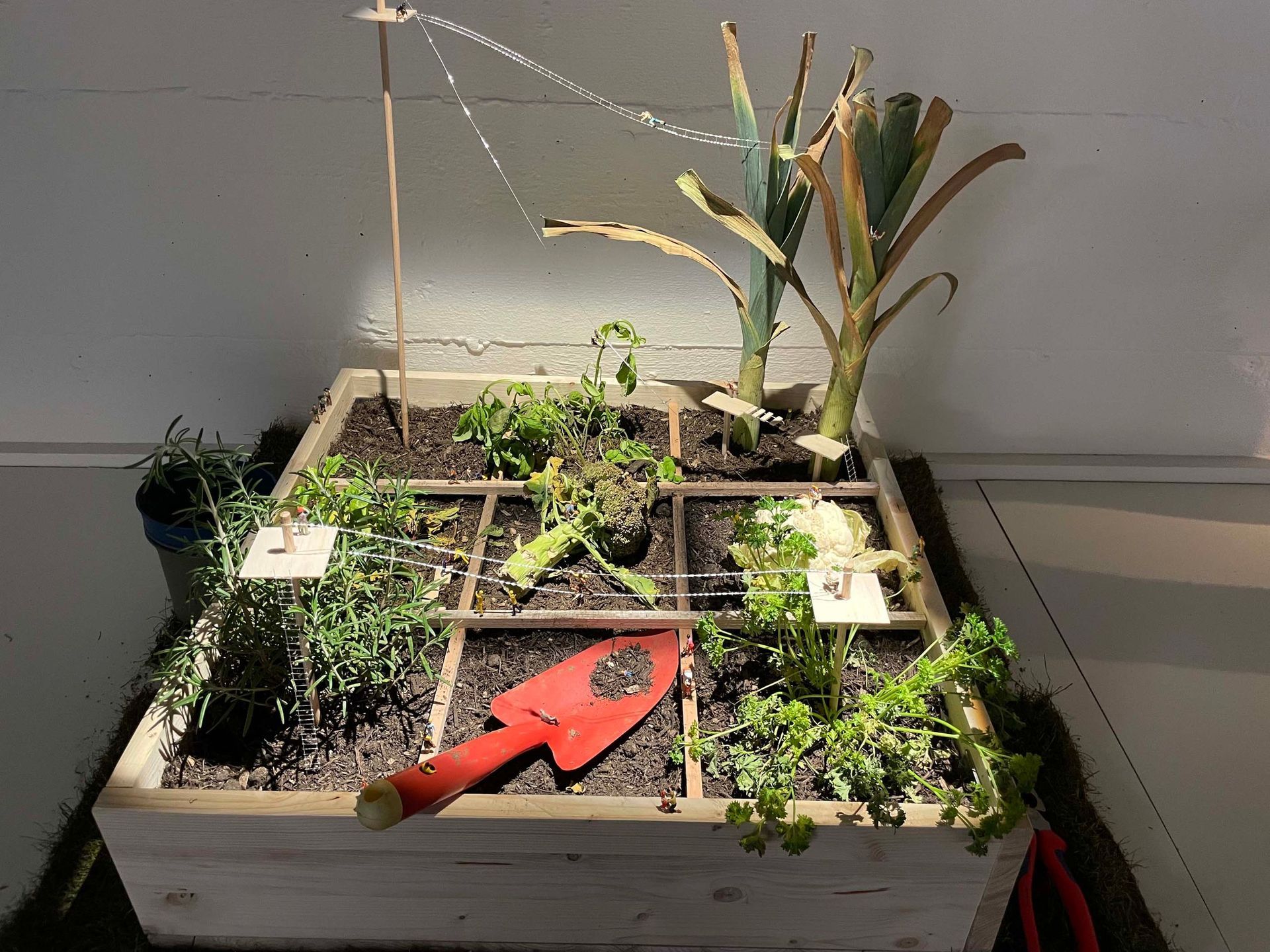 p3d_fpa2 - Carré Mambô