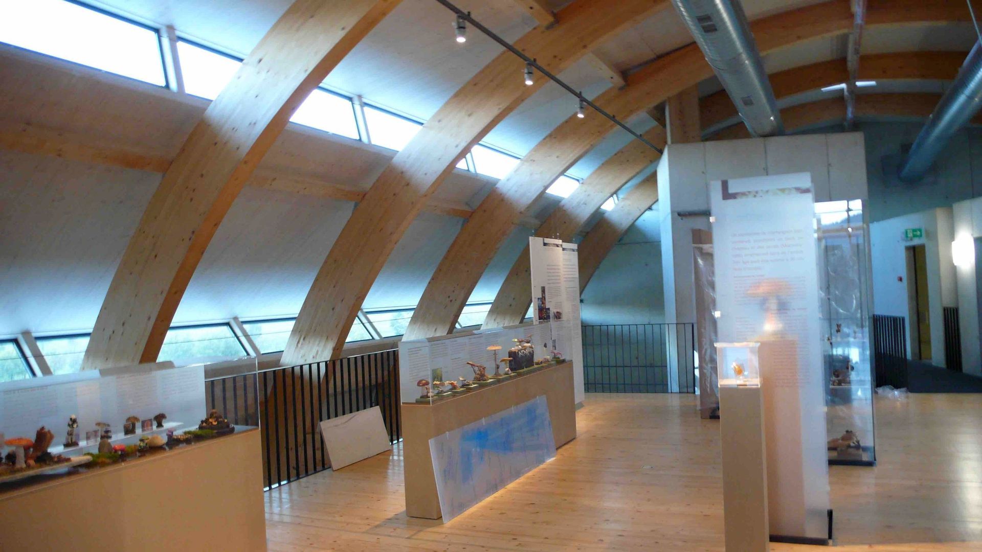 Expo - Carré Mambô