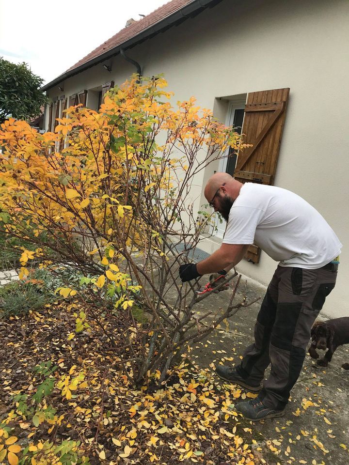 Entretien de jardin à Toulon-sur-Allier