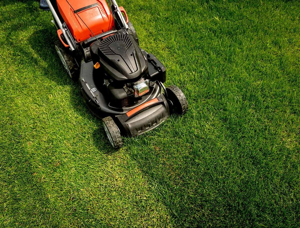 Tondeuse à gazon