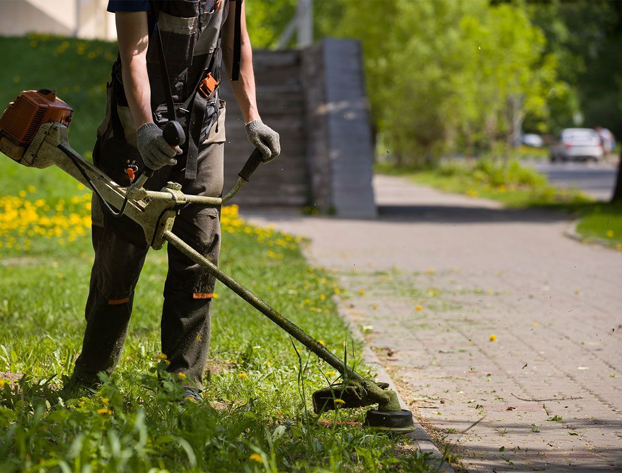 Jardinier tondant une pelouse