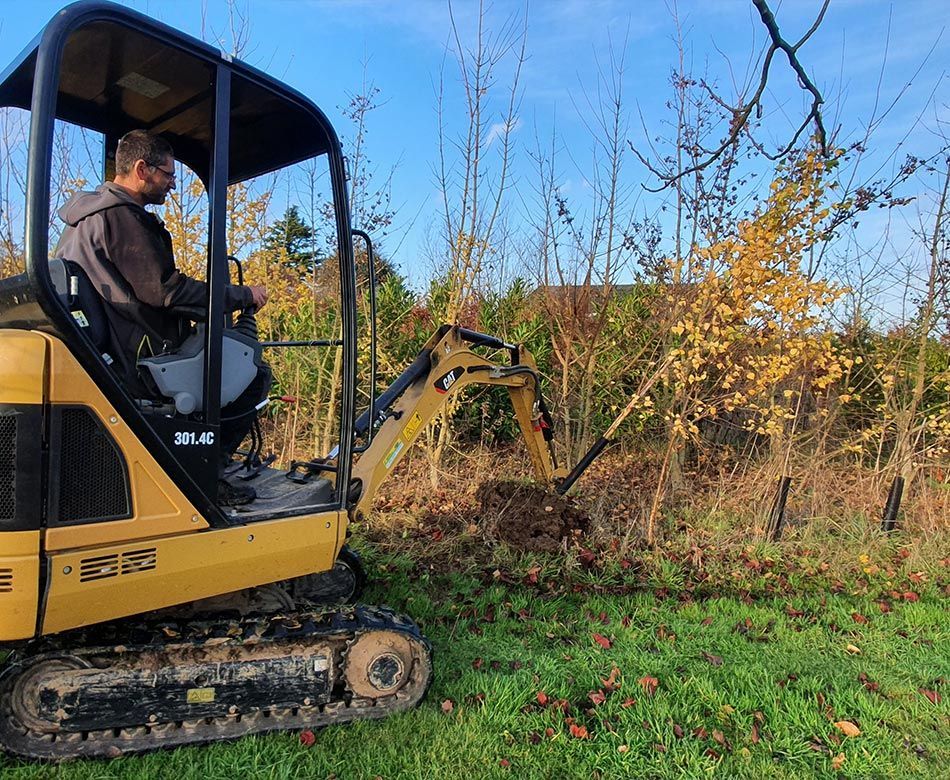 Pelleteuse plantant un arbre 