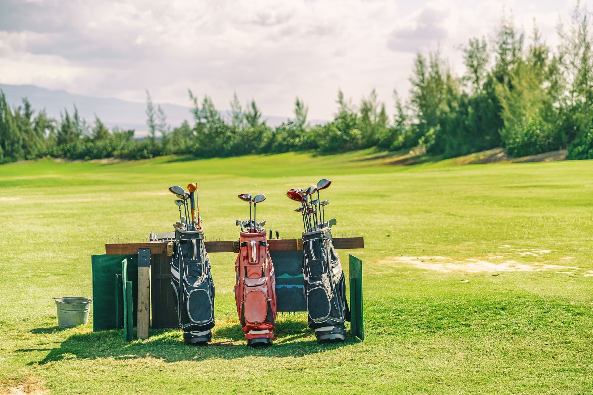 Tres bolsas de golf con palos de golf en un campo de golf, frente a una zona de tee verde.