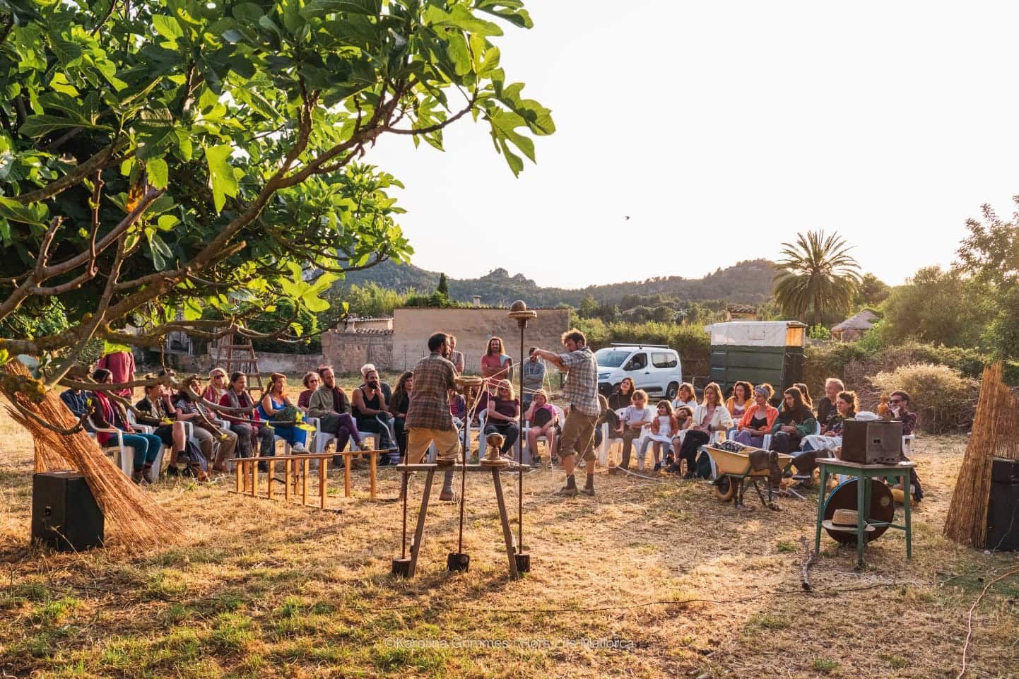 Un grupo de personas está sentada en un campo bajo un árbol.