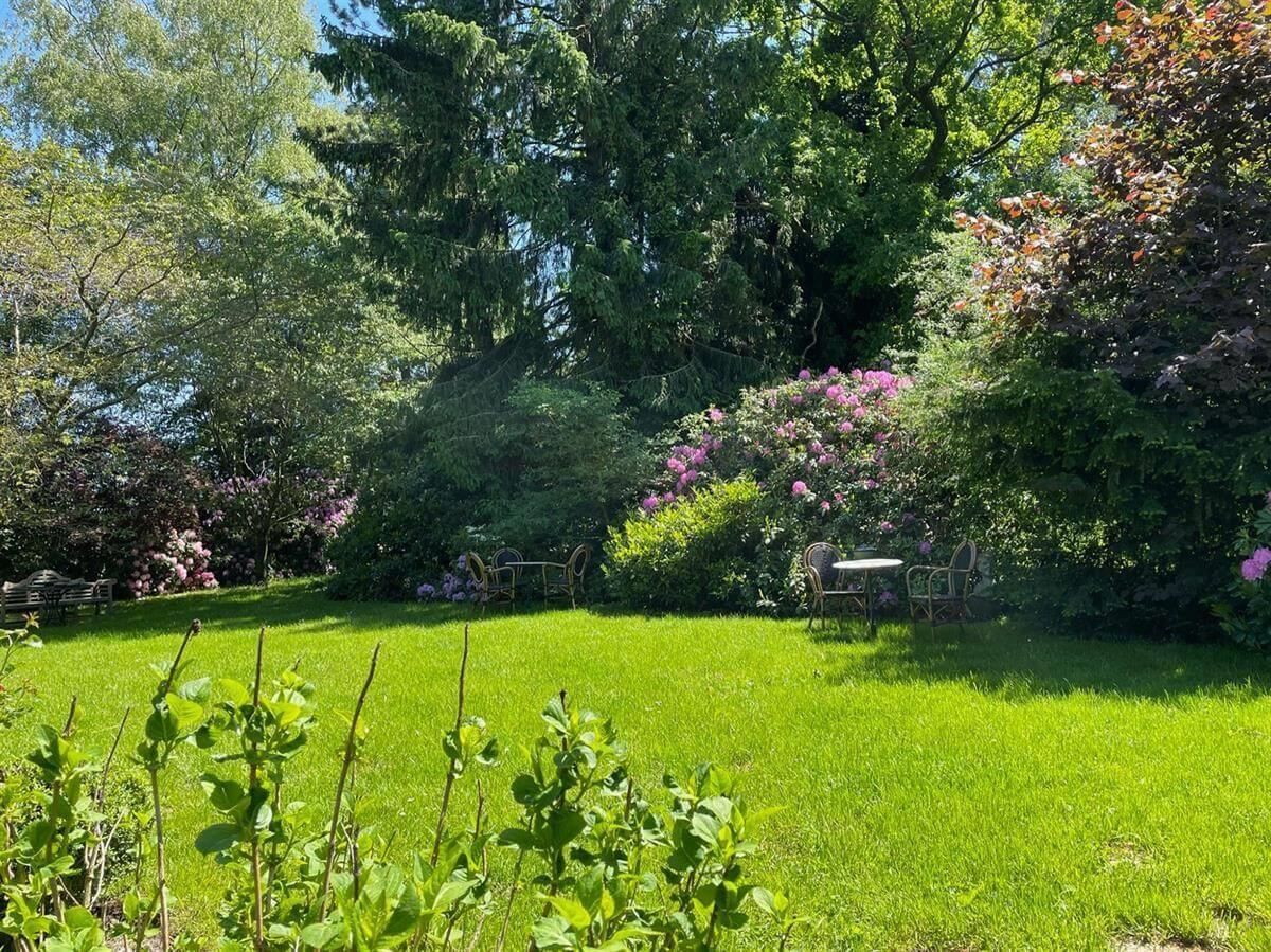 Ein üppig grüner Hof, umgeben von Bäumen und Büschen an einem sonnigen Tag.