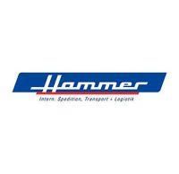 Ein blau-weißes Logo für eine Firma namens Hammer.