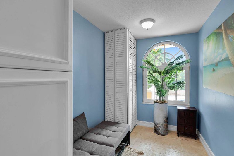 A small blue room with a window, bench, cabinet, and a large plant.