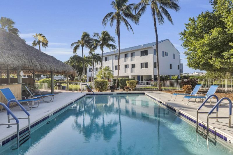 Pool area with lounge chairs, palm trees, and a white multi-story building.