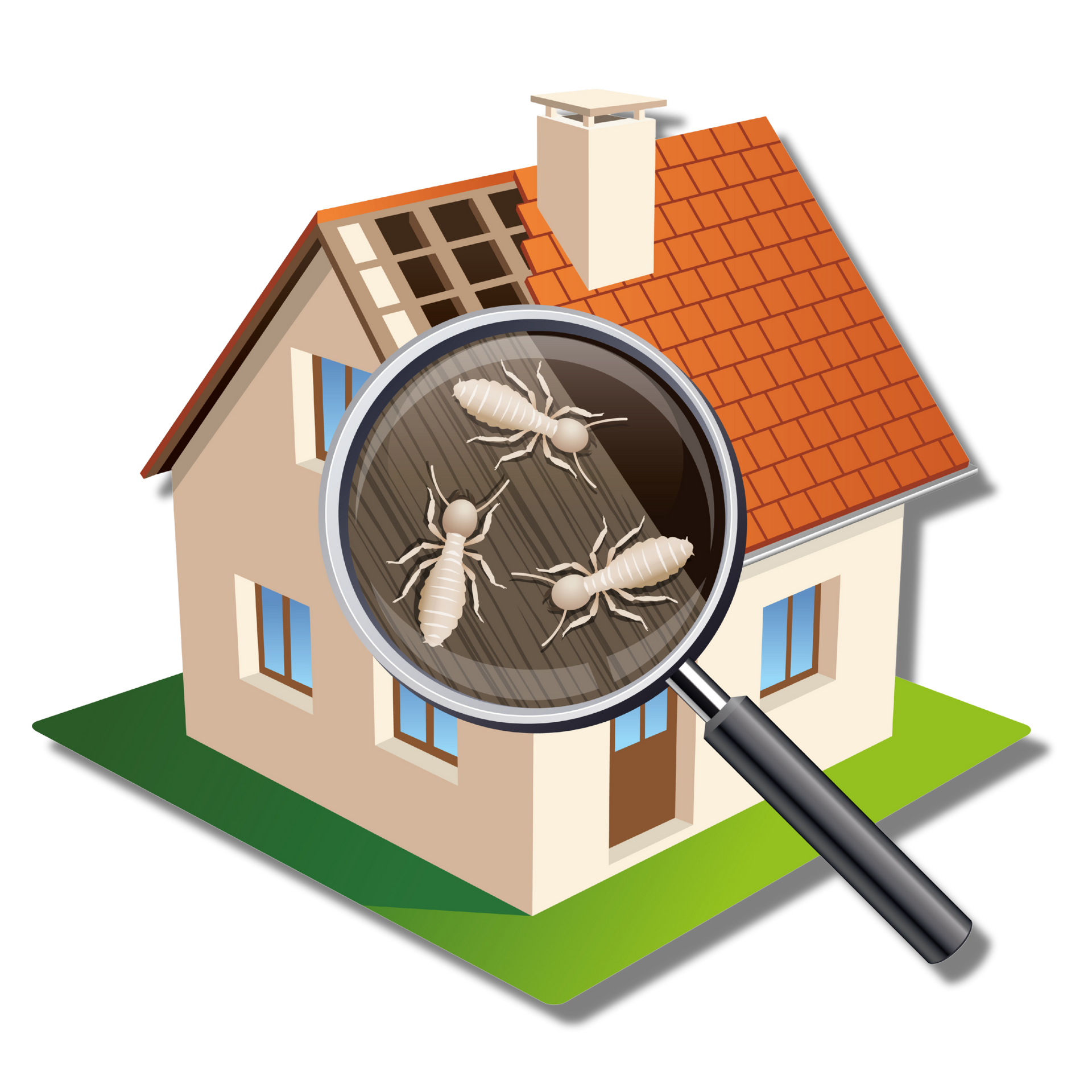 Illustration de maison avec une loupe mettant en évidence des termites sur le toit