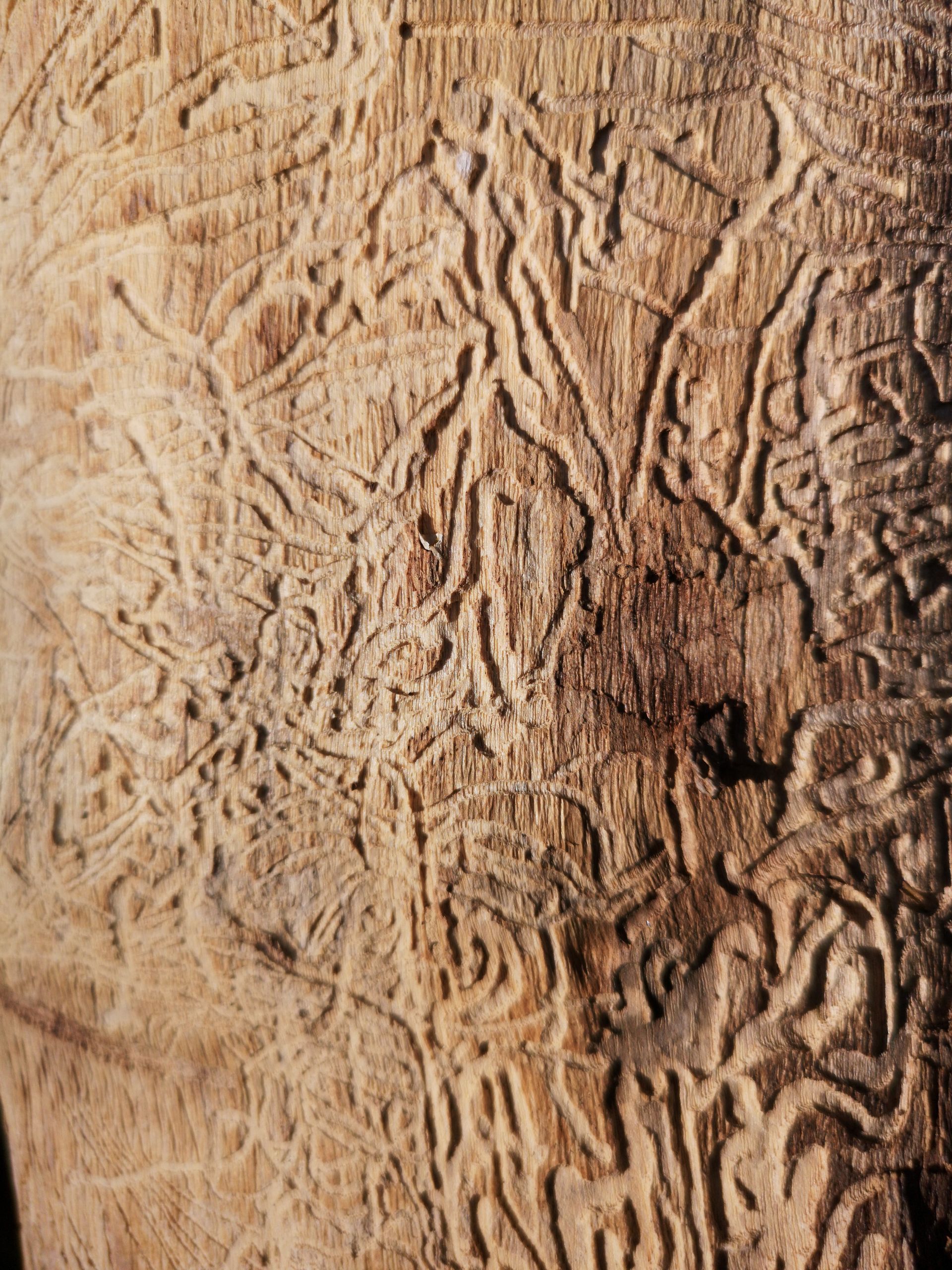 Gros plan sur une surface beige, texturée, tissée ou sculptée, ornée de motifs abstraits complexes.