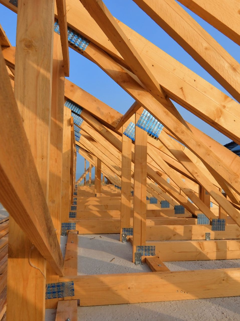 Charpente de toit en bois en construction sur fond de ciel bleu, avec un filet bleu entre les poutres.