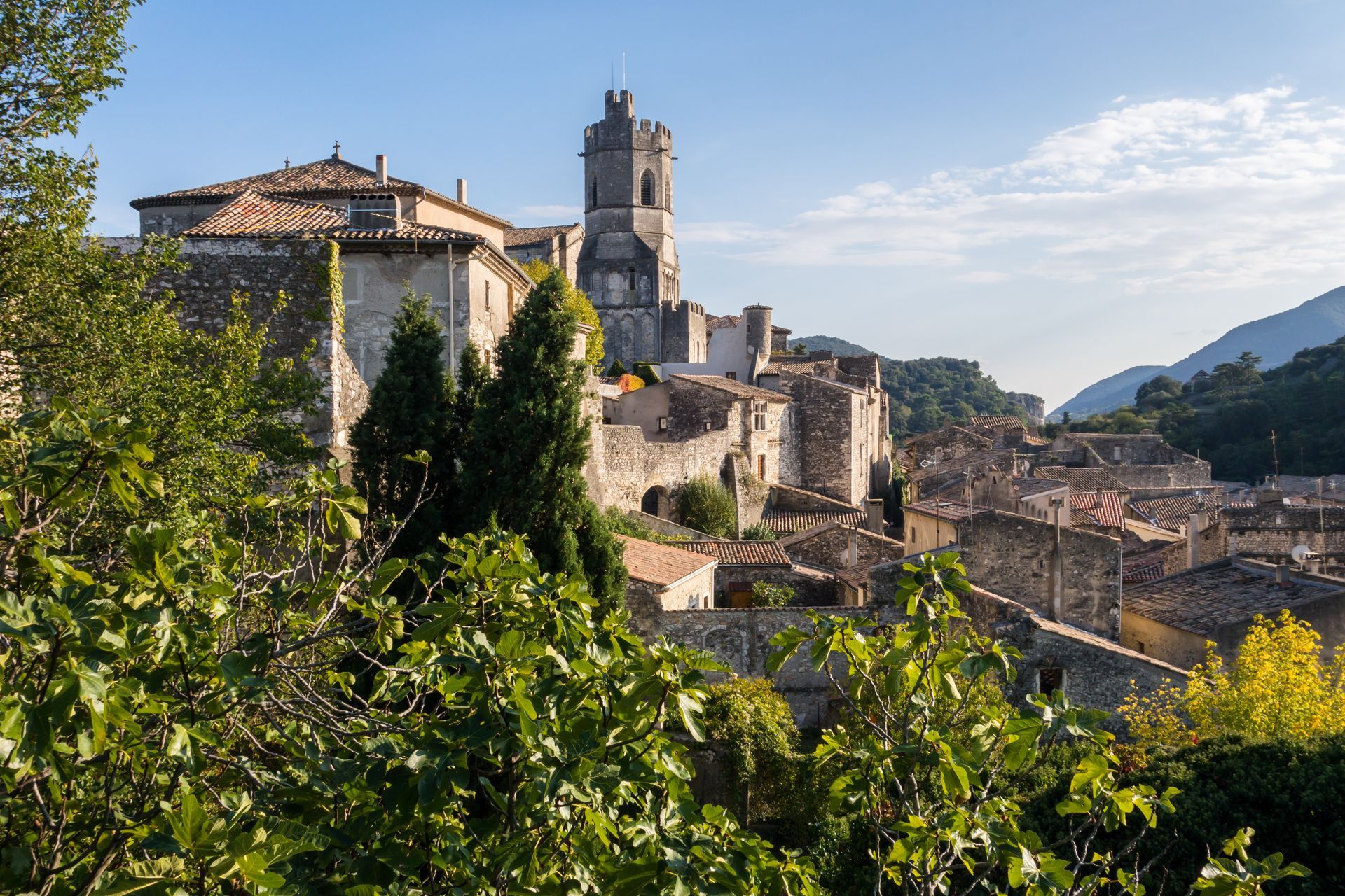 La ville de Viviers.