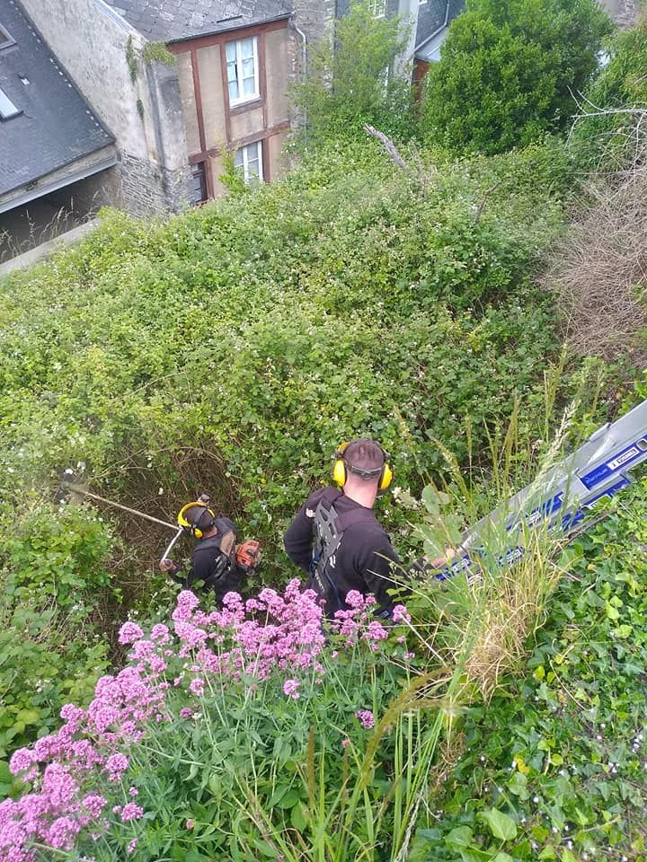 Entretien des espaces verts, débroussaillage