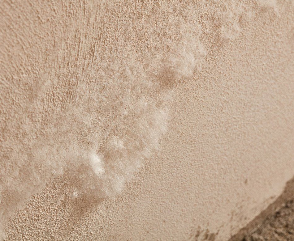 Humidité sur un mur et présence de salpètre