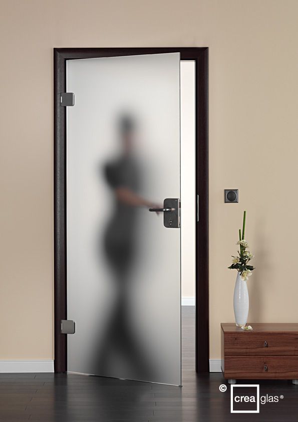 Glaserei Torsten Schilbach in Sandesneben Leistungen Ganzglastüren 01