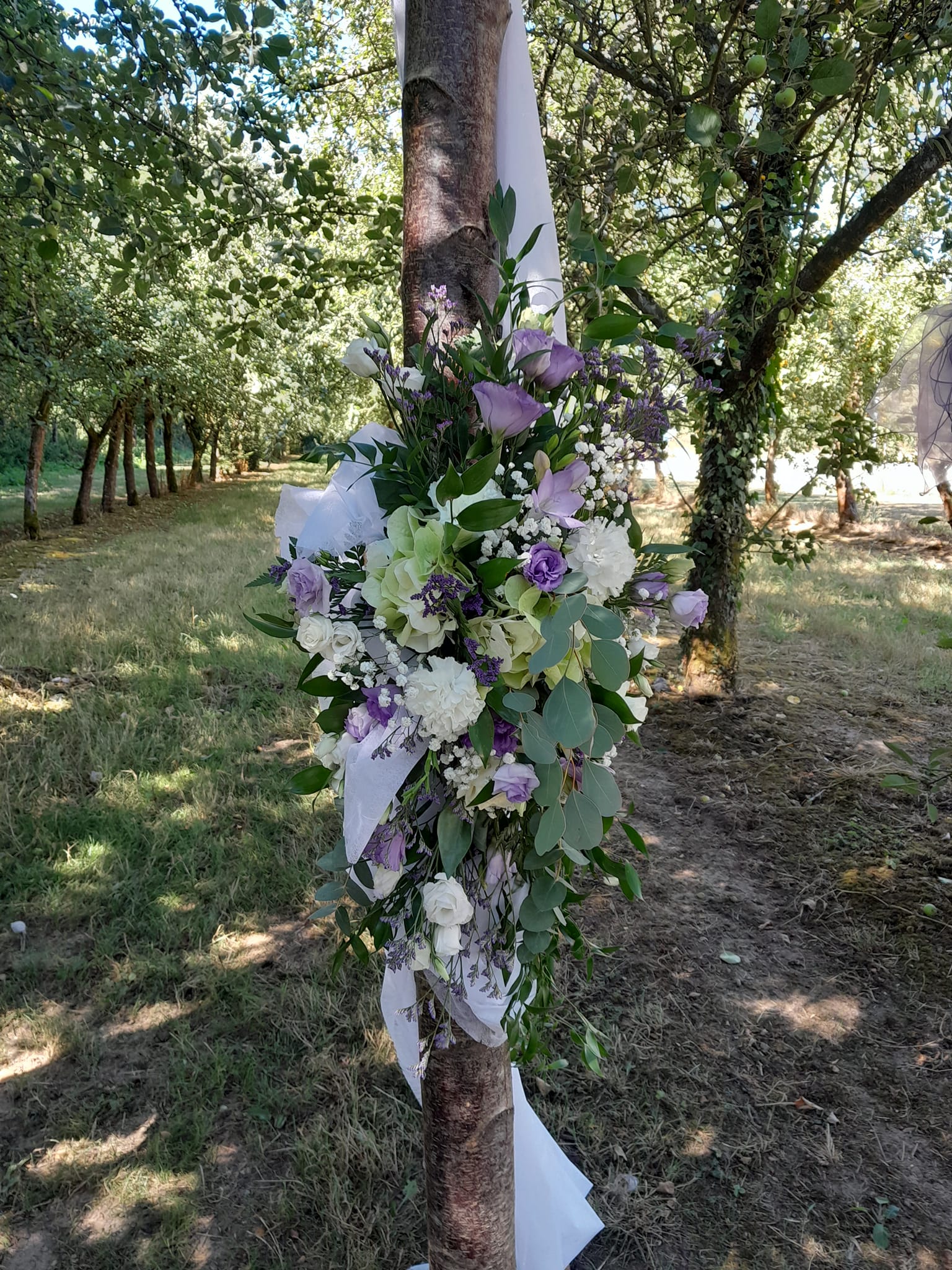 Des fleurs et des couleurs