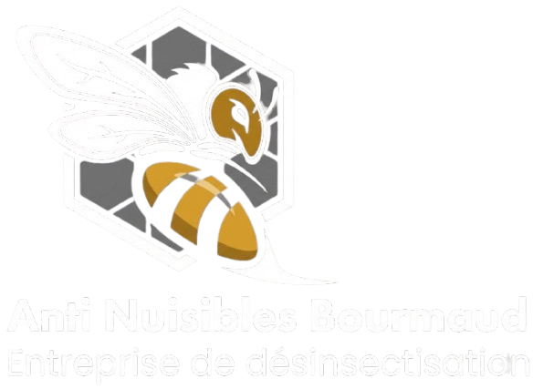 Logo JESSY BOURMAUD
