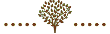 Séparateur arbre marron