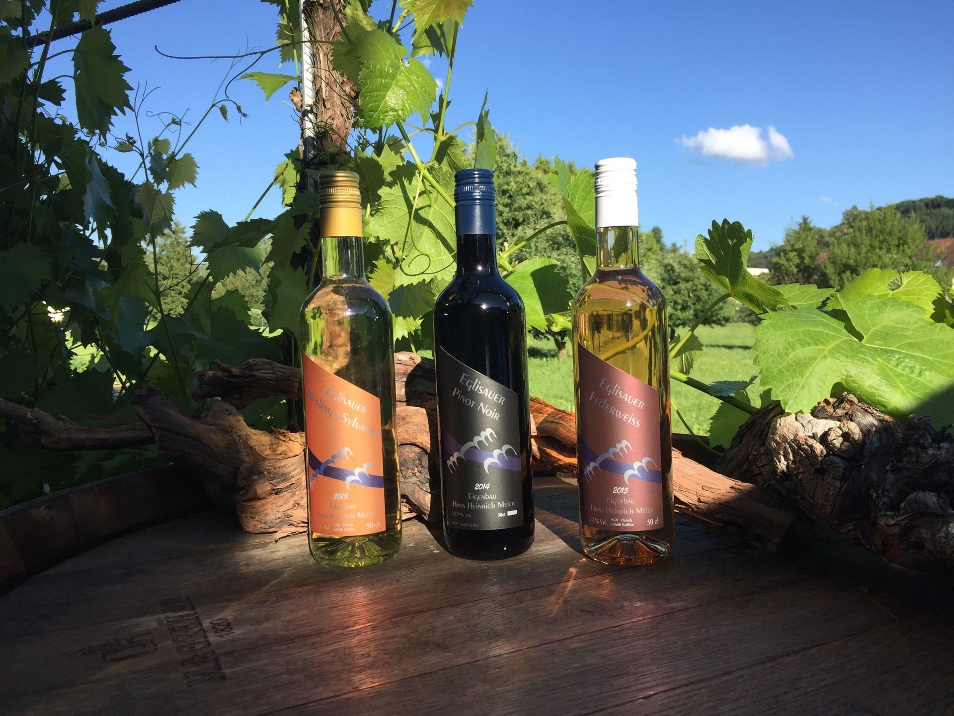 Wein - Meier GmbH Parkett