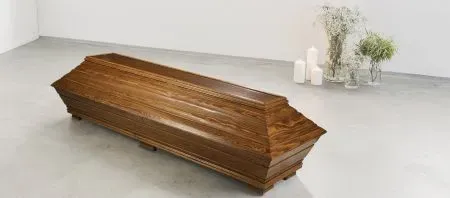 Ivalon Taimitupa Kommandiittiyhtiö