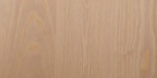 Ivalon Taimitupa Kommandiittiyhtiö