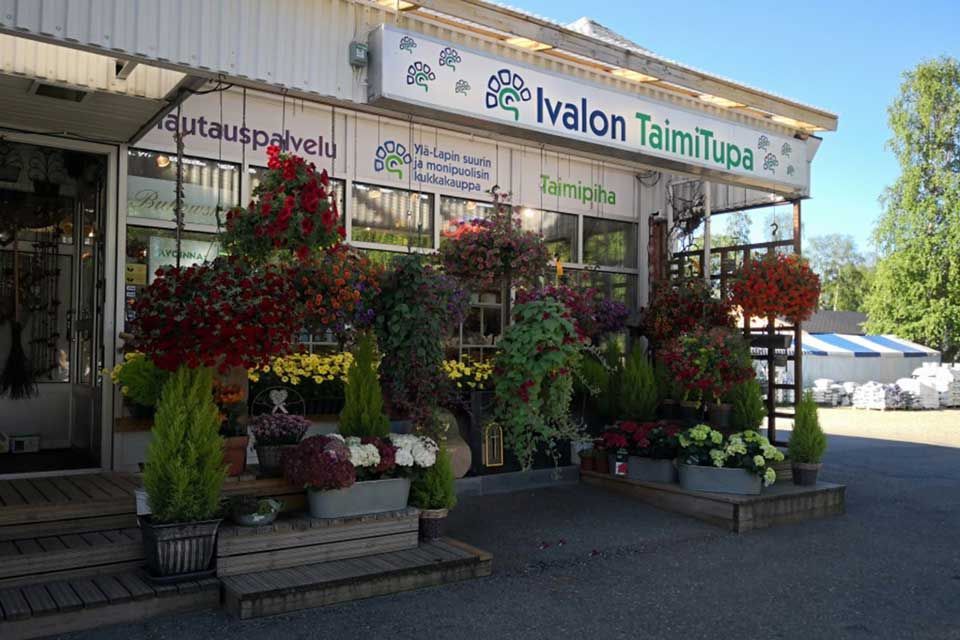 Ivalon Taimitupa Kommandiittiyhtiö