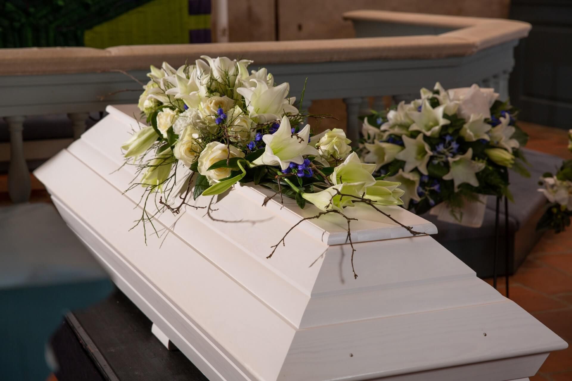 Ivalon Taimitupa Kommandiittiyhtiö