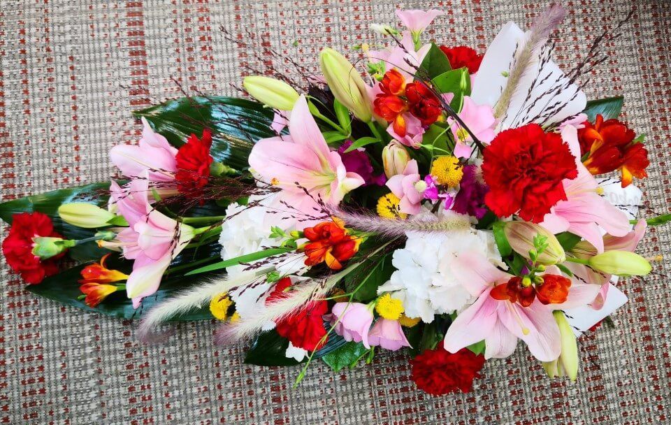 Ivalon Taimitupa Kommandiittiyhtiö