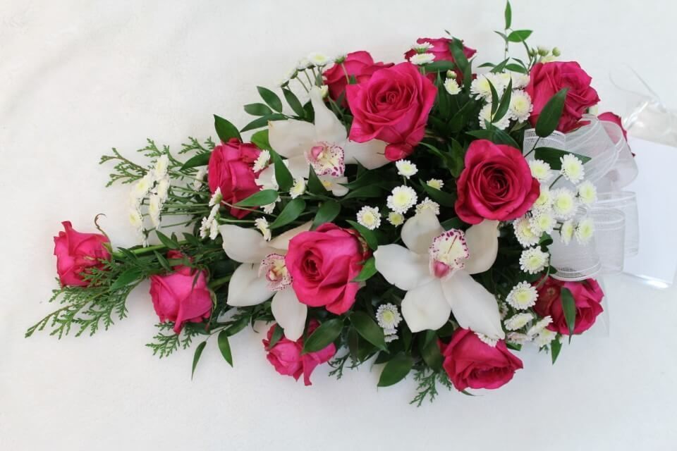 Ivalon Taimitupa Kommandiittiyhtiö