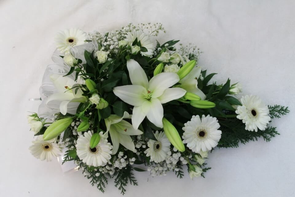 Ivalon Taimitupa Kommandiittiyhtiö