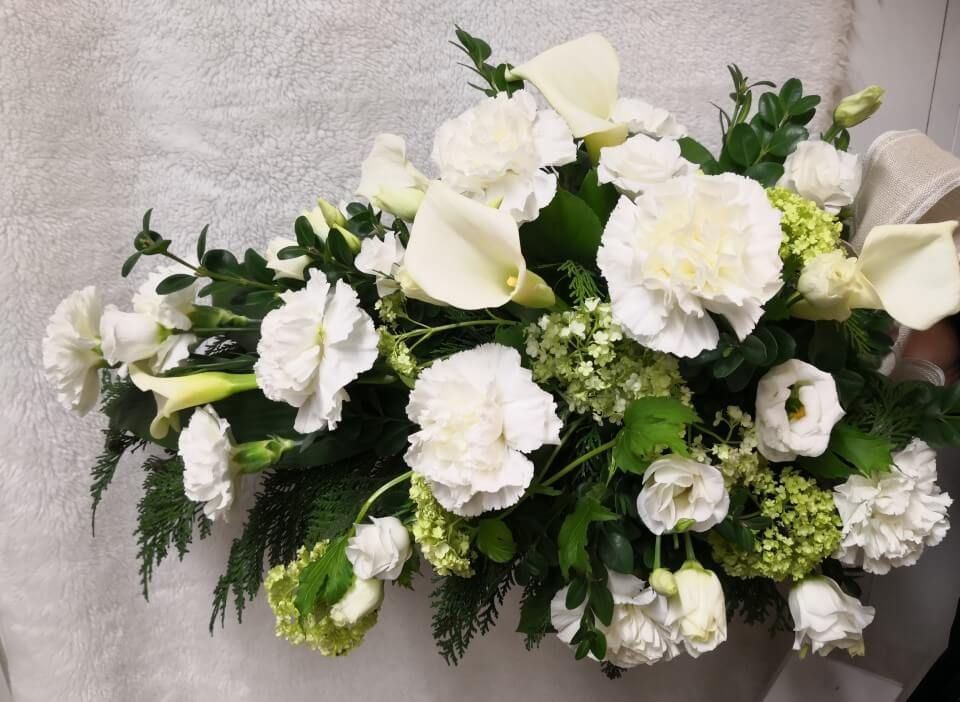 Ivalon Taimitupa Kommandiittiyhtiö