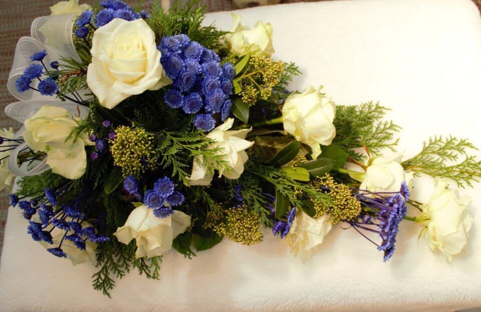 Ivalon Taimitupa Kommandiittiyhtiö