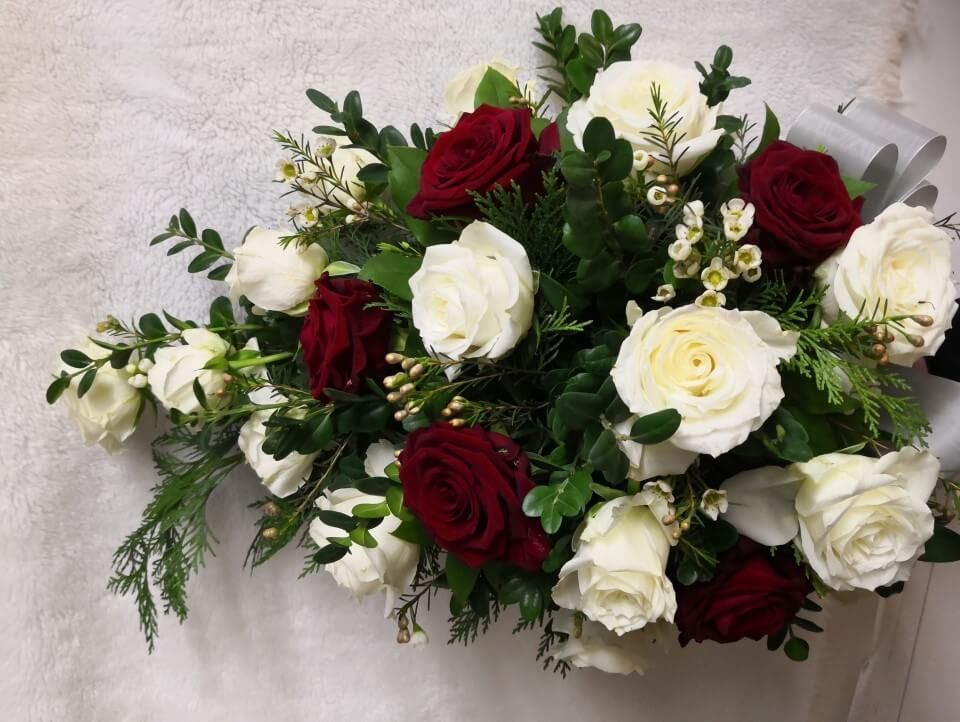 Ivalon Taimitupa Kommandiittiyhtiö