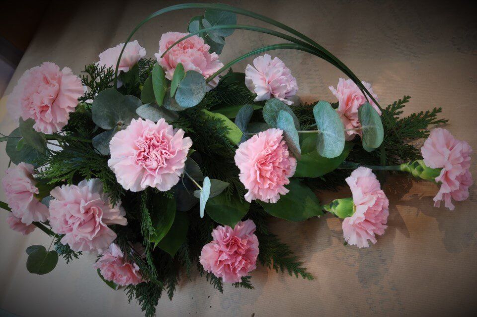 Ivalon Taimitupa Kommandiittiyhtiö