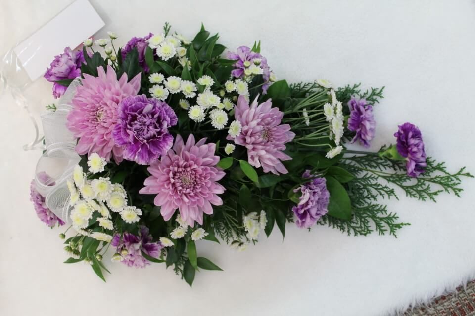 Ivalon Taimitupa Kommandiittiyhtiö