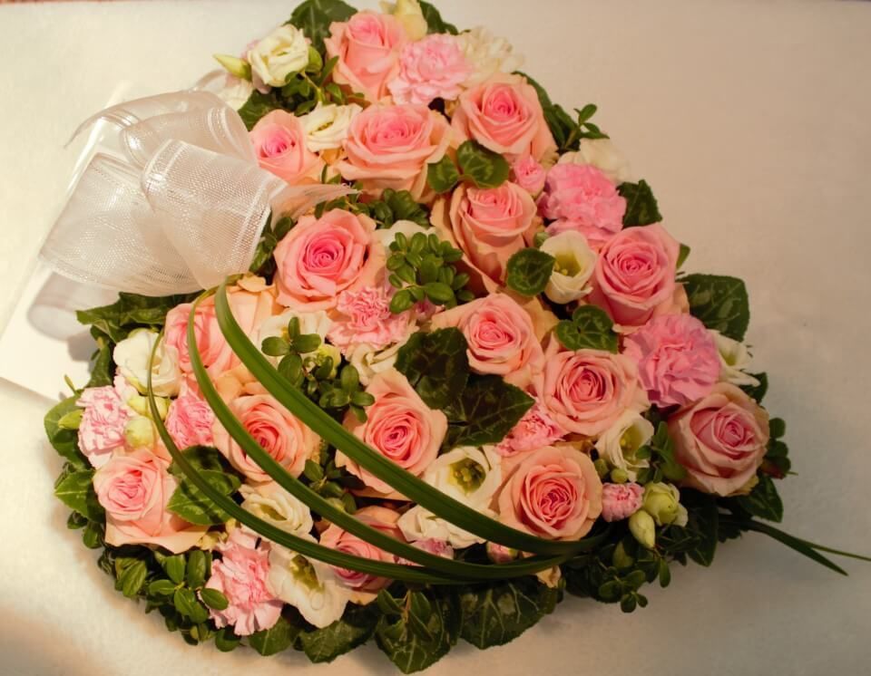 Ivalon Taimitupa Kommandiittiyhtiö