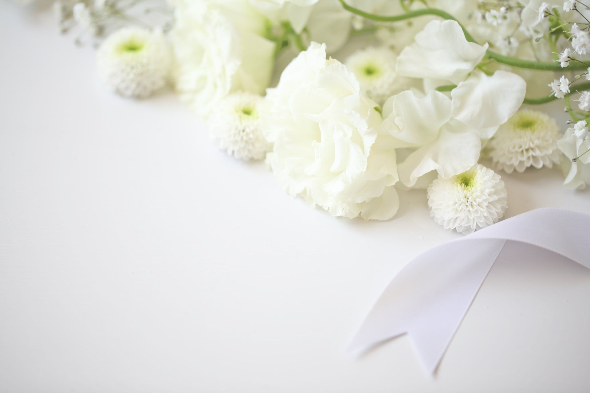 Ivalon Taimitupa Kommandiittiyhtiö