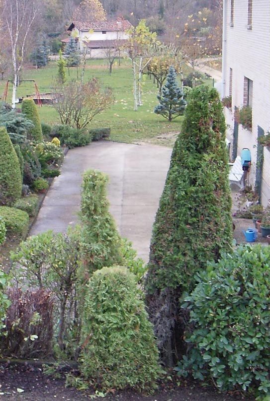 Vista desde un ángulo elevado de un jardín con plantas perennes de forma cónica cuidadosamente podadas, un camino de entrada de hormigón y una casa al fondo.