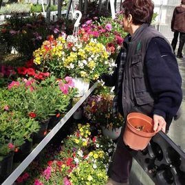Una persona sostiene una maceta vacía mientras observa un invernadero lleno de coloridas plantas en flor.