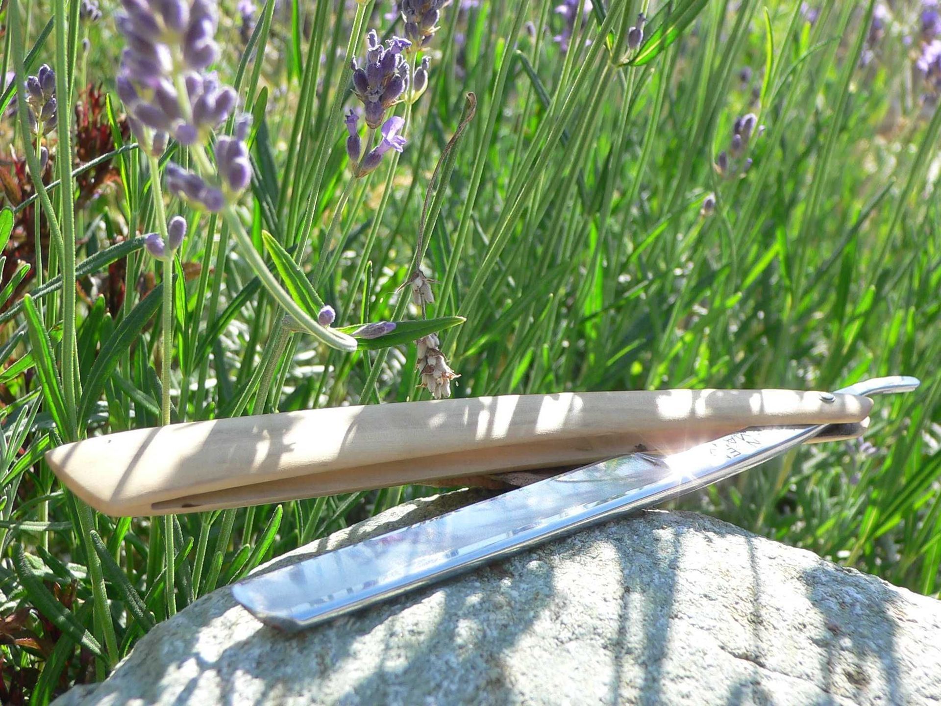 nos-realisations-galerie-photos-la-coupe-energetique-salon-energetique-du-cheveu-a-corps-et-résonance-aude-bailly-le-brassus-vallee-de-joux-vaud