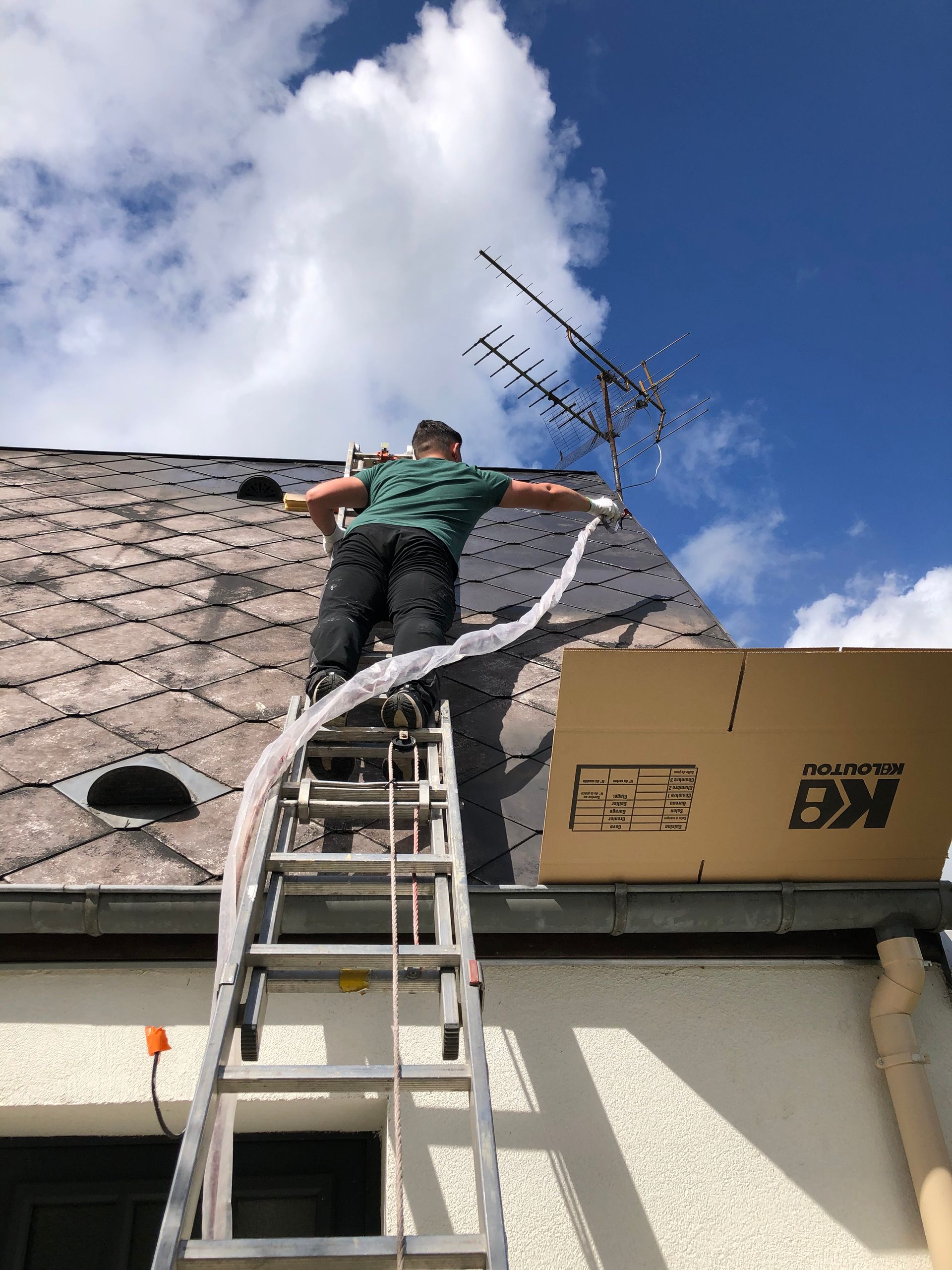 Service de peinture de toiture