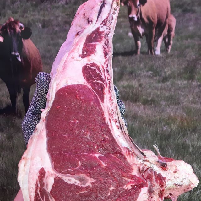 Una persona sostiene un gran trozo de carne en un campo con vacas al fondo.