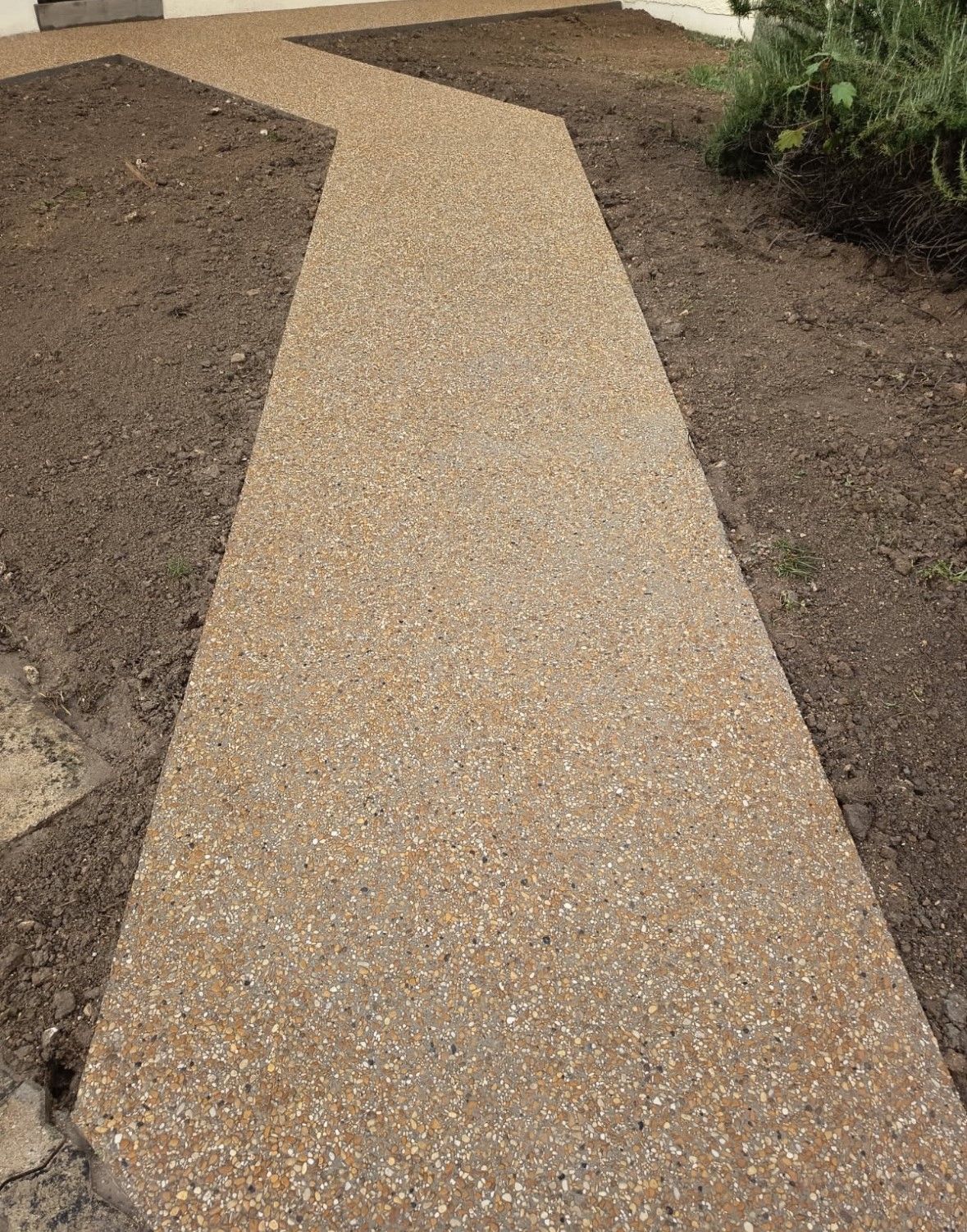 Un chemin étroit en béton beige à travers un parterre de jardin.