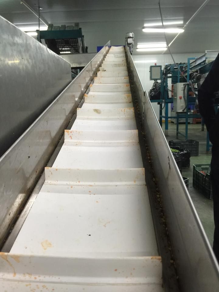 Una cinta transportadora baja por una escalera en una fábrica.