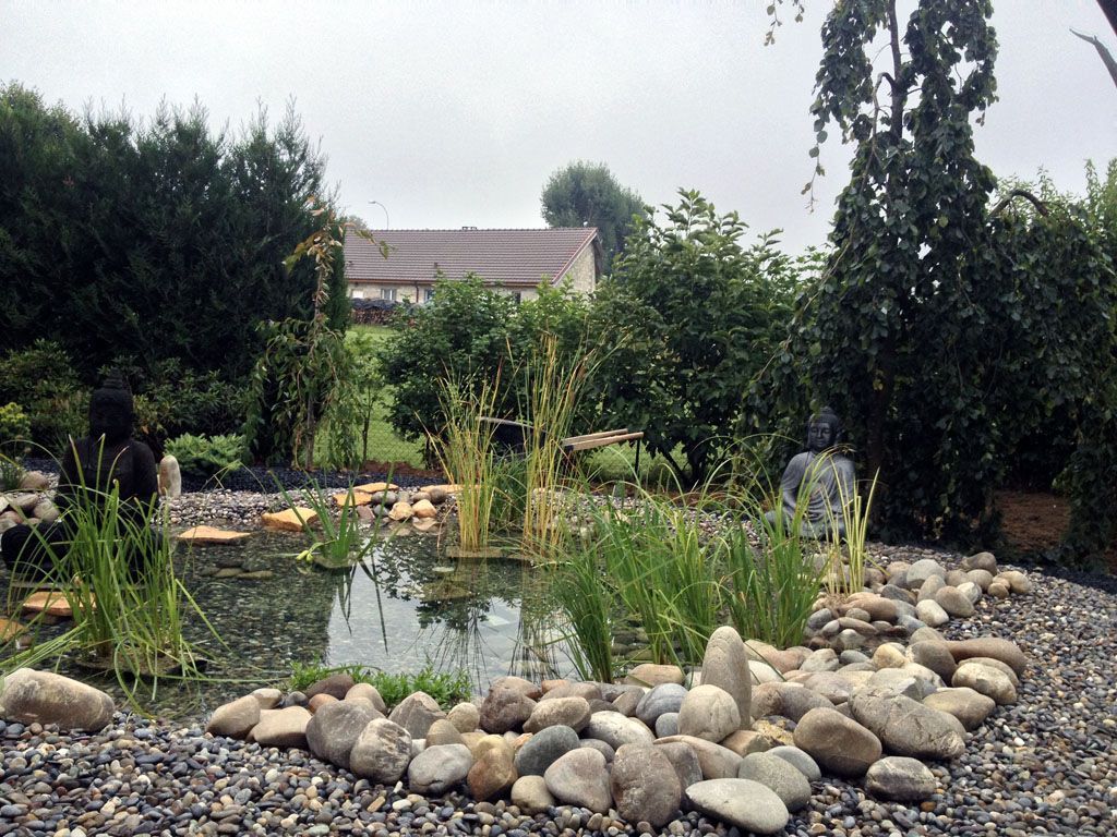 Etang - Fabrice Rondez Paysagiste - Porrentruy